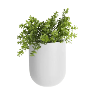 Bloempotten, plantenstandaarden