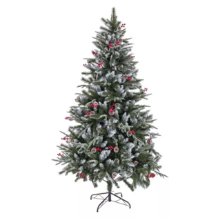 Kerstbomen