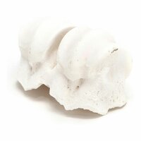 Hondensnoepjes Gloria Knokkels Calcium 2