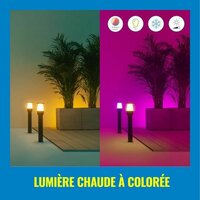 Tuinverlichting op zonne-energie Wiz Zwart Metaal 3