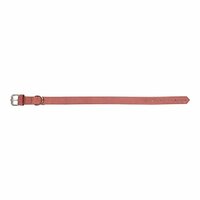 Hondenhalsband Gloria Oasis Roze (1,2 x 35 cm) 5