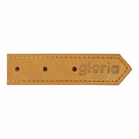 Hondenhalsband Gloria Oasis Geel (35 x 1,2 cm) 5