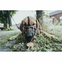 Muilkorf Hunter Albury 3 Zwart 2