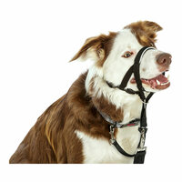 Trainingshalsbanden voor honden Company of Animals Halti Zwart Muilkorf (31-40 cm) 5