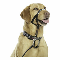Trainingshalsbanden voor honden Company of Animals Halti Zwart Muilkorf (40-54 cm) 7