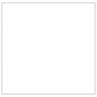 Hondenkennel 25 m&sup2; staal zilverkleurig 4