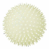 Hondenspeelgoed Trixie Bal 4