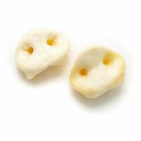 Hondensnoepjes Gloria Display Light 20 Stuks Varken 2