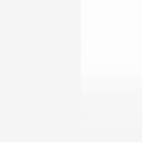 Hoge kast 36x35,5x103,5 cm bewerkt hout hoogglans wit 9