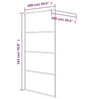 Inloopdouchewand 100x195 cm transparant ESG-glas zilverkleurig 7