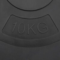 Halterschijven 4 st 30 kg beton 8