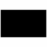 Zwembadhoes rechthoekig 1000x600 cm PE zwart 2