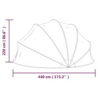 Zwembadkoepel 440x220 cm 9