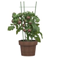 Plantensteunen 5 st met 3 ringen 45 cm staal groen 3
