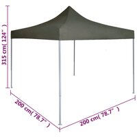 Partytent professioneel inklapbaar 2x2 m staal antraciet 9