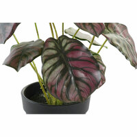 Decoratieve plant DKD Home Decor Roze Groen PE (10 x 10 x 27 cm) 2