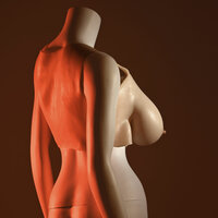 Batterijen Gender X 4