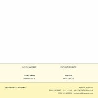 Decoratieve plant Everlands Plastic Citroenboom 17 x 24 x 43 cm 2