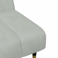 2-delige Loungeset fluweel lichtgrijs 9