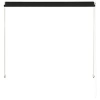 Luifel uittrekbaar 100x150 cm antraciet 5