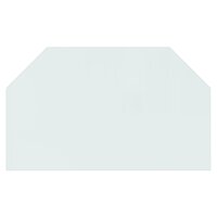 Glasplaat openhaard zeshoekig 100x60 cm 3