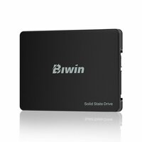 Hard Drive Biwin M100 1 TB SSD 6