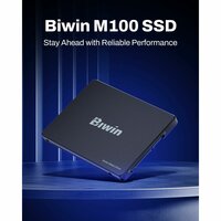 Hard Drive Biwin M100 1 TB SSD 7