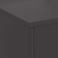 Vuurkorf Zwart 80 x 50 x 96 cm Koudgewalst staal 8