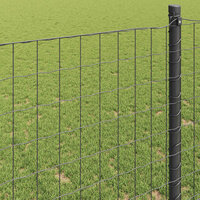 Euro Hek Grijs 0.4 x 10 m PVC-gecoat ijzer 4