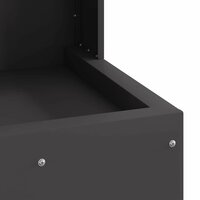 Vuurkorf Zwart 35 x 35 x 100 cm Koudgewalst staal 8