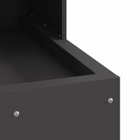 Vuurkorf Zwart 50 x 50 x 100 cm Koudgewalst staal 8