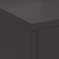 Vuurkorf Zwart 60 x 40 x 96 cm Koudgewalst staal 8