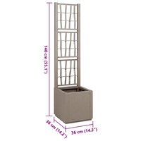 Tuin Bloempot Grijs 36 x 36 x 140 cm Polypropyleen 9