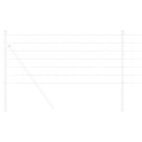 Euro Hek Zilver 0.4 x 10 m Warmverzinkt ijzer 3