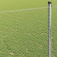 Hexagon Hek Zilver 1 x 10 m Gegalvaniseerd staal 4