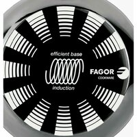Pan FAGOR Indutherm Zwart Ge&euml;mailleerd Staal (&Oslash; 20 cm) 4