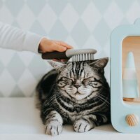 Hondenkam Hunter Extra Soft 3