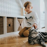 Hondenkam Hunter Extra Soft 4