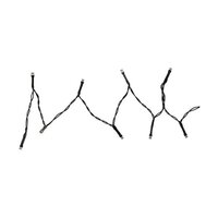 LED lichtsnoer AX8415200 Wit Zwart Warm wit 2,5 m 8