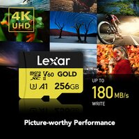 SD Geheugenkaart Lexar LMSGOLD256G-BNNNG 256 GB 7