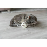 Kattenspeeltje Trixie Beer 7