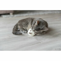 Kattenspeeltje Trixie Beer 8