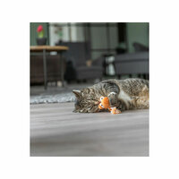 Kattenspeeltje Trixie Draak 5