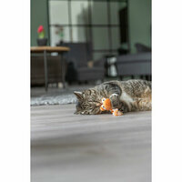 Kattenspeeltje Trixie Draak 6