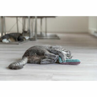 Kattenspeeltje Trixie 8