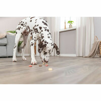 Hondensnoepjes Trixie Cookie Snack Loops 1,3 kg 4