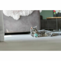 Kattenspeeltje Trixie Hart 3