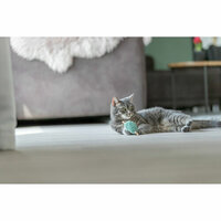 Kattenspeeltje Trixie Hart 4