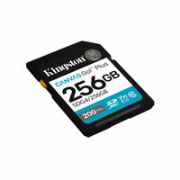 Micro SD kaart met adapter Kingston SDG4/256GB 256 GB 2
