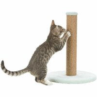 Krabpaal voor Katten Trixie Junior Munt &Oslash; 7 cm 42 cm 4